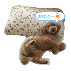 natsumi_20200731131821