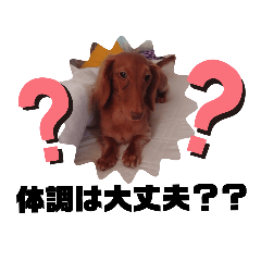 cherry_20200731141437