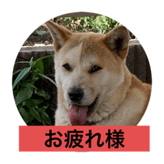 asuka_20200731161118