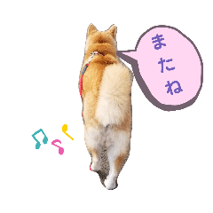 Hachiko: Greeting