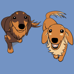 寄り添うダックスフンド Line スタンプ Line Store 寄り添うダックスフンド Line スタンプ Line Store