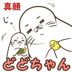 Soft seal DODO-chan.Standard 6