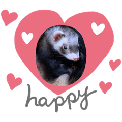 ayumi_20200801025759