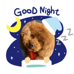 nanami_20200731193602