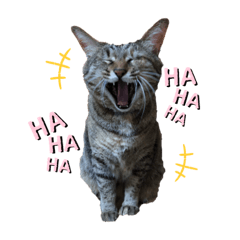 haruna_20200731221714