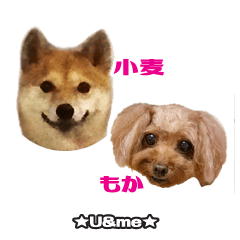 moka&komugi Sticker