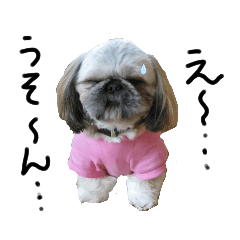 oga-chi_20200731235057 – LINE stickers | LINE STORE