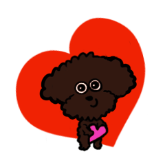 Brown Poodles with Short Hair