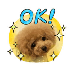 cocoa_20200801005713