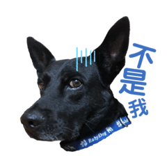 我是台灣米克斯OK（part3)