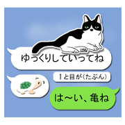 A cat seldom talks. Ver 2