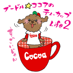 Teacup life of the poodle "cocoa" 2