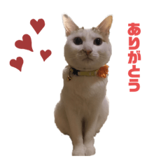 Hana_20200801120559