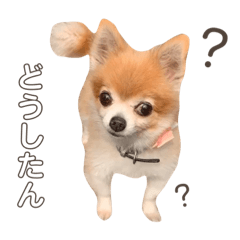 natsumi_20200801152612