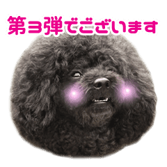 笑う犬の うめ 第3弾 Line スタンプ Line Store 笑う犬の うめ 第3弾 Line スタンプ Line Store