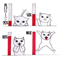 Answer of the white cat