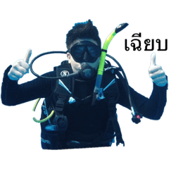 dive info