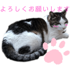 michiko_20200801170405