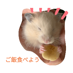 ton_20200801152014