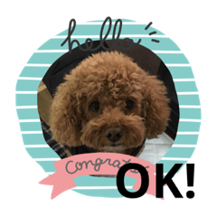 cocoa_20200801170633