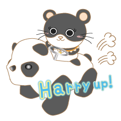 Panda cat sticker everyone can use