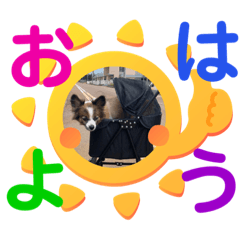 natsumi_20200801200956