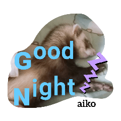 aiko_20200801211747
