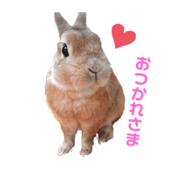 haruna_20200801190649