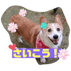 Reku stamp