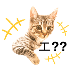 tomomi_20200801175948