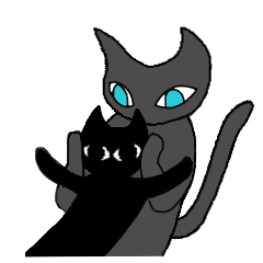 gray cat and black cat - 2nd