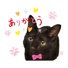 sayaka_20200801173020