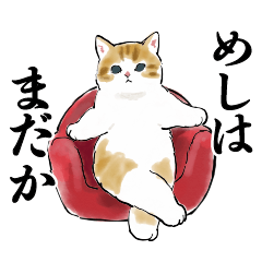 今日はカレーの日 - LINE スタンプ LINE STORE