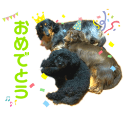 HARUNA_20200802012753