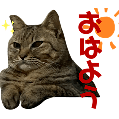 MI-&MYA- – LINE stickers | LINE STORE