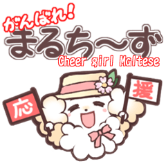 Cheer girl Maltese