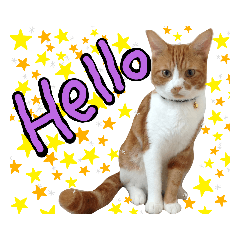 MICHIKO_20200801230532