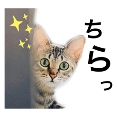 hikari_20200802105643