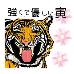 Favorite tiger