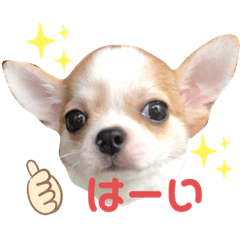 marumaru_20200802140625