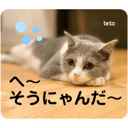 teto.british_20200802133240