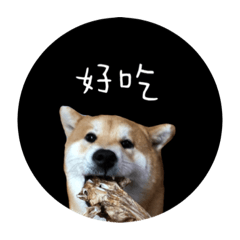 菜桃寶寶Part3