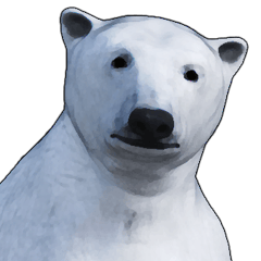 Poler bear (Ursus maritimus) sticker