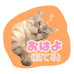 natsumi_20200802151319