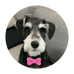 Ayumi_20200802154051