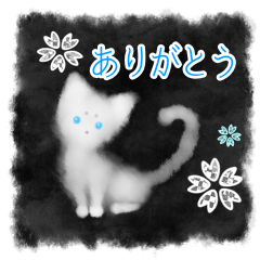 Sumi white cat