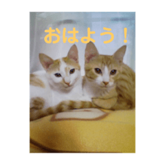 sawaneco_20200802164151