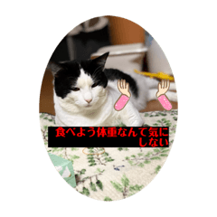 MIYABI_20200802163706