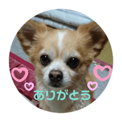 saya_20200802171709
