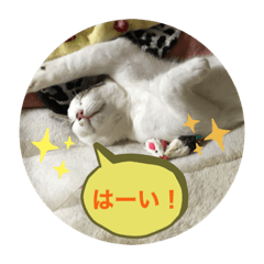 saori_20200802194805